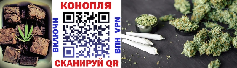 Купить закладки  Приозерск  Печенье с ТГК марихуана 