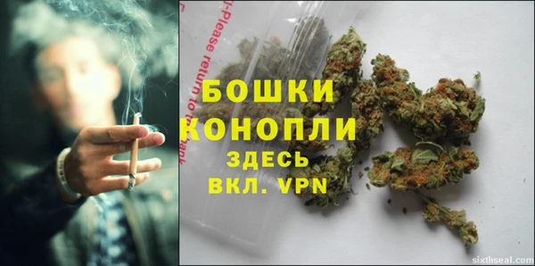 ALPHA PVP Заволжье