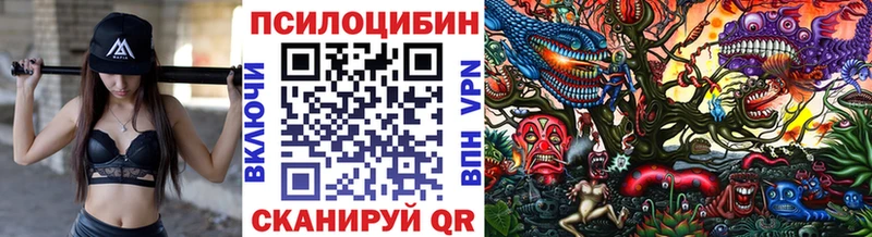 Галлюциногенные грибы MAGIC MUSHROOMS  Купить где  Приозерск 