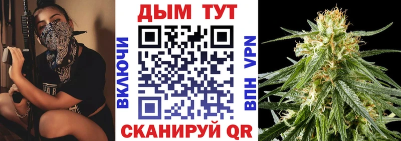 Каннабис планчик  Купить закладки  Приозерск 